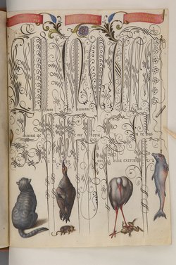 Schriftmusterbuch; 127 Blatt Pergament