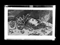 Haupt der Medusa