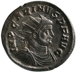 Carinus