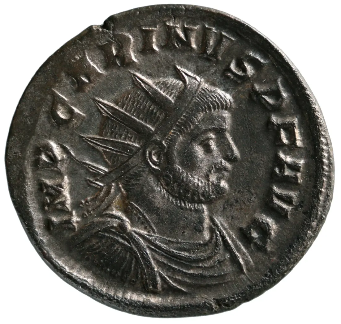 Carinus