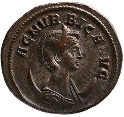 Magnia Urbica