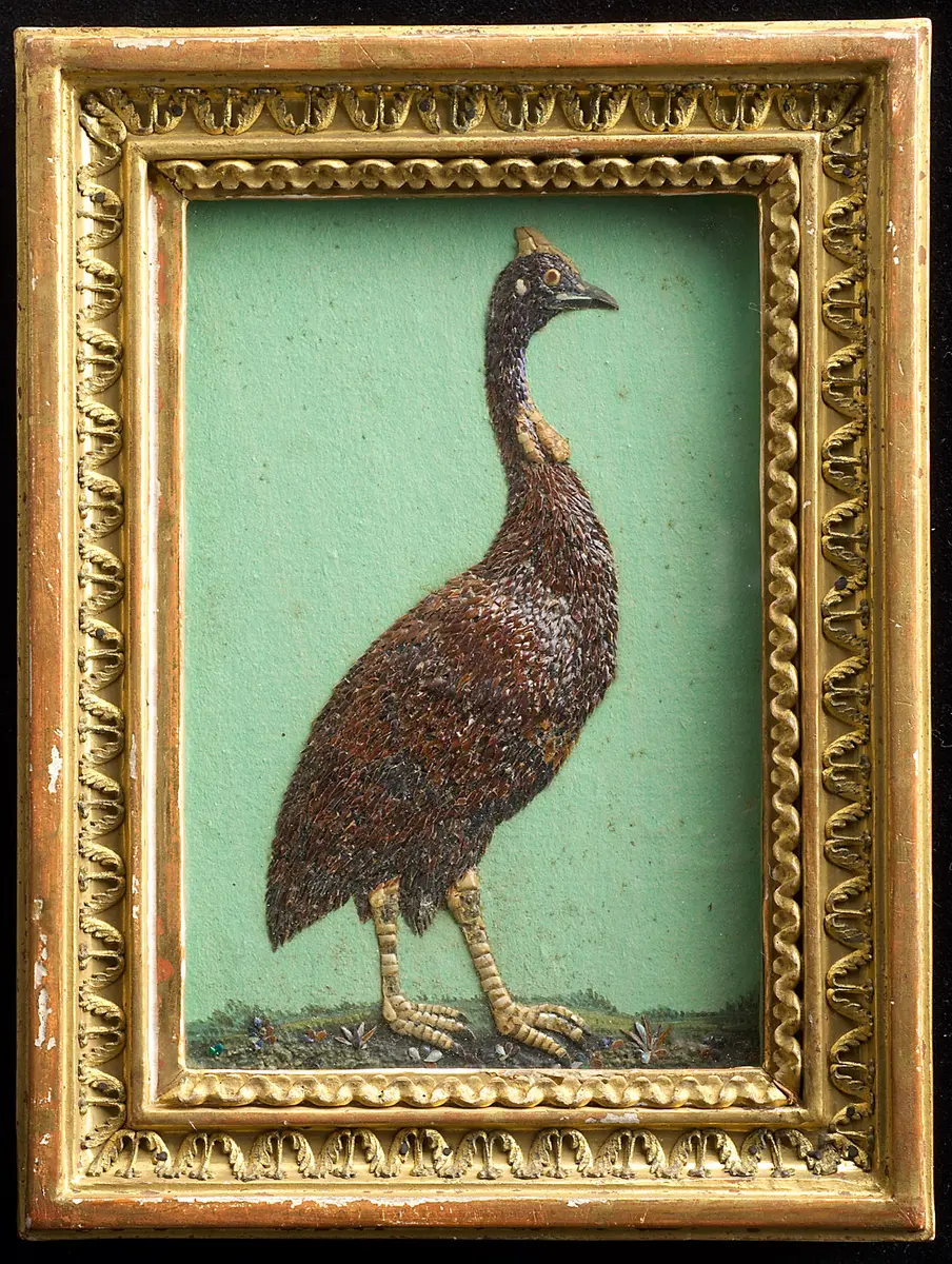 Helmperlhuhn