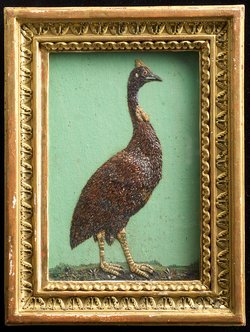 Helmperlhuhn