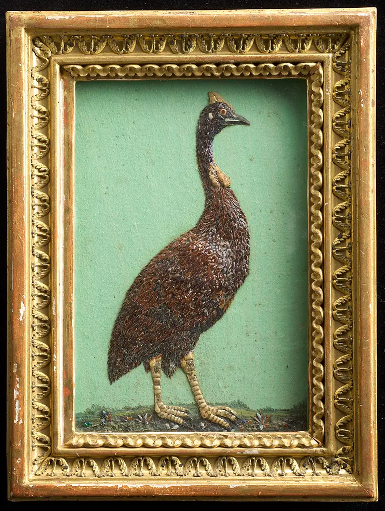 Helmperlhuhn