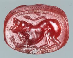 Löwe in Angriffsstellung