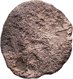 Constantinus I. oder Licinius I.