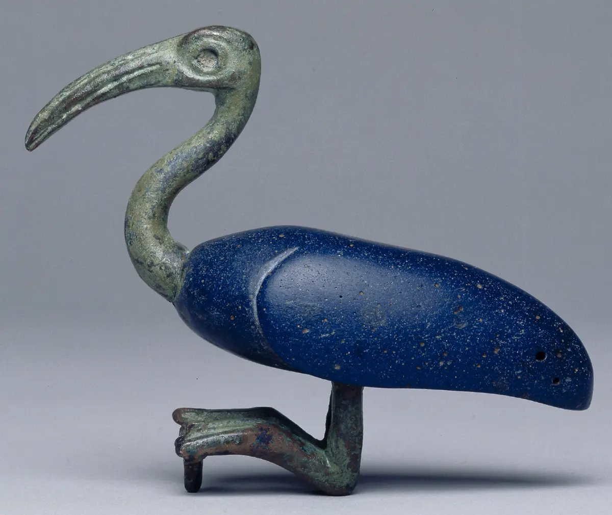 Sitzender Ibis