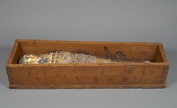 Unterteil des Kastensarges des An-em-her mit Mumie und Teilkartonage