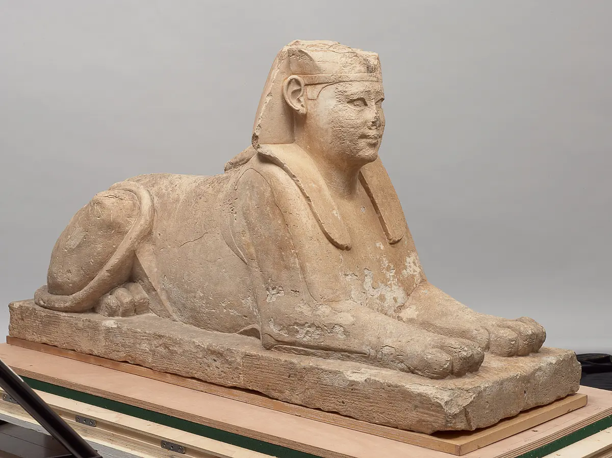 Serapeumssphinx