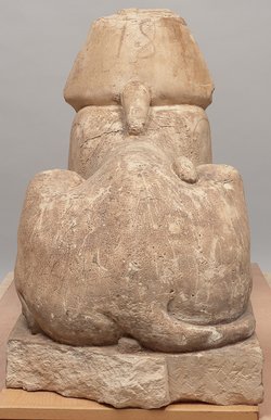 Serapeumssphinx