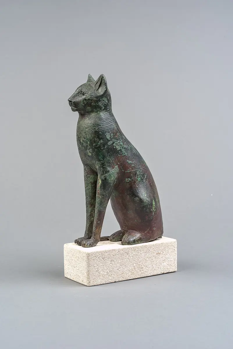 Sitzende Katze