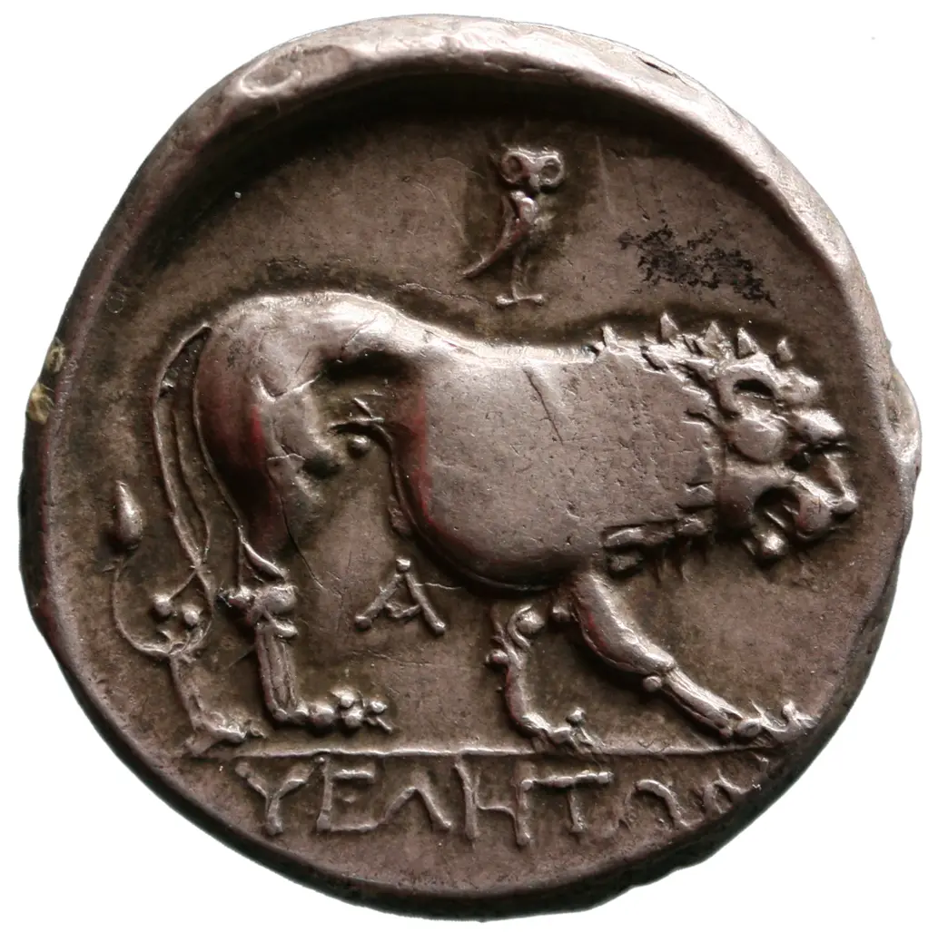 Velia