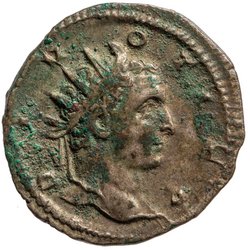 Divus Titus
