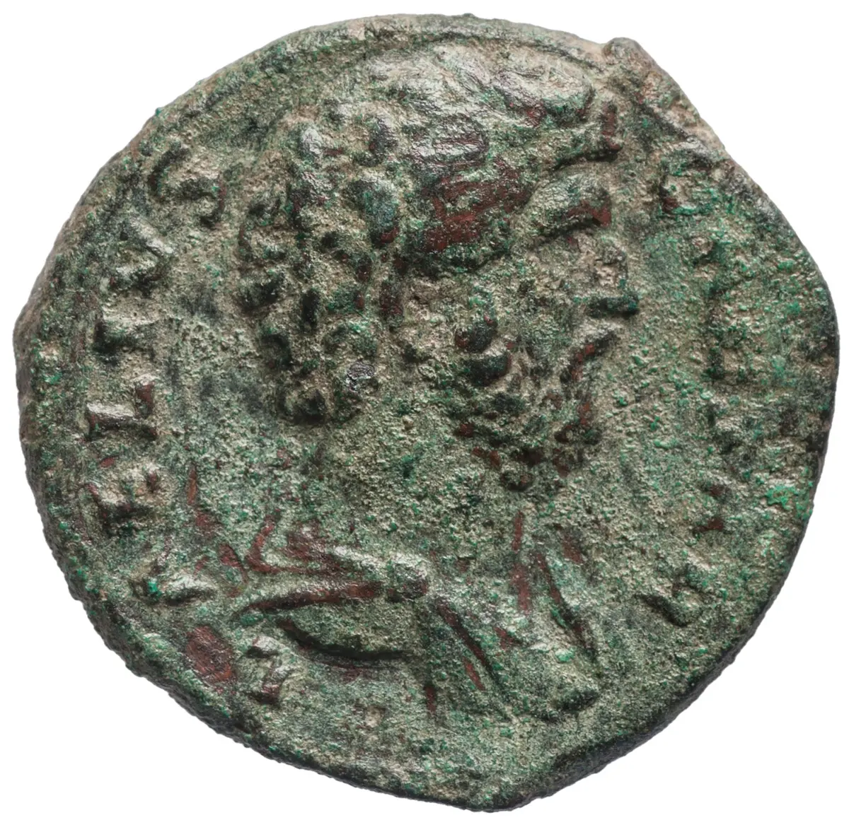 Lucius Aelius