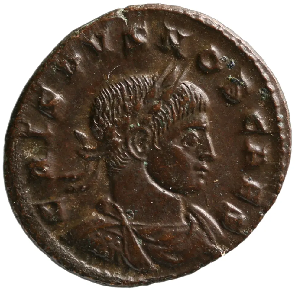 Crispus