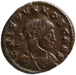 Crispus