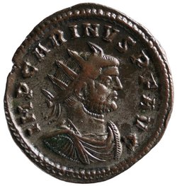 Carinus