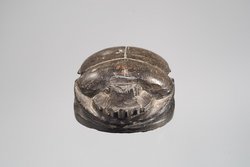 Herzskarabäus der Hausherrin Wer(...)
