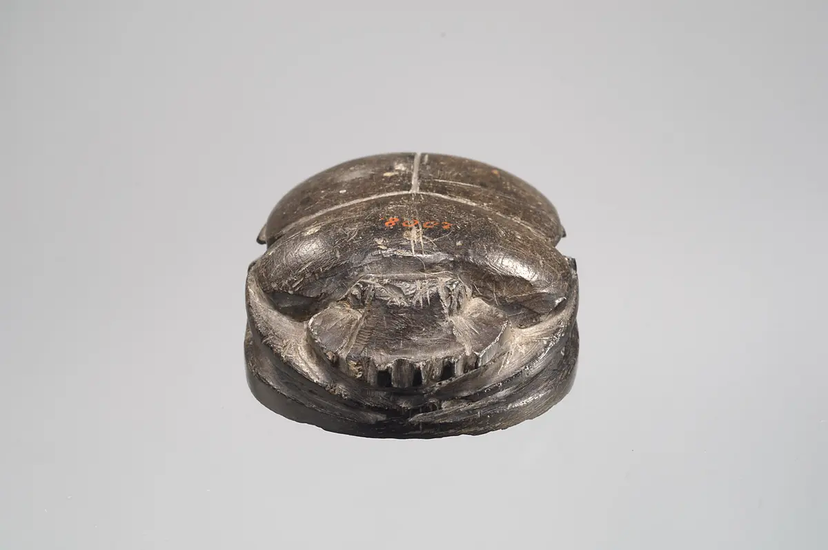 Herzskarabäus der Hausherrin Wer(...)