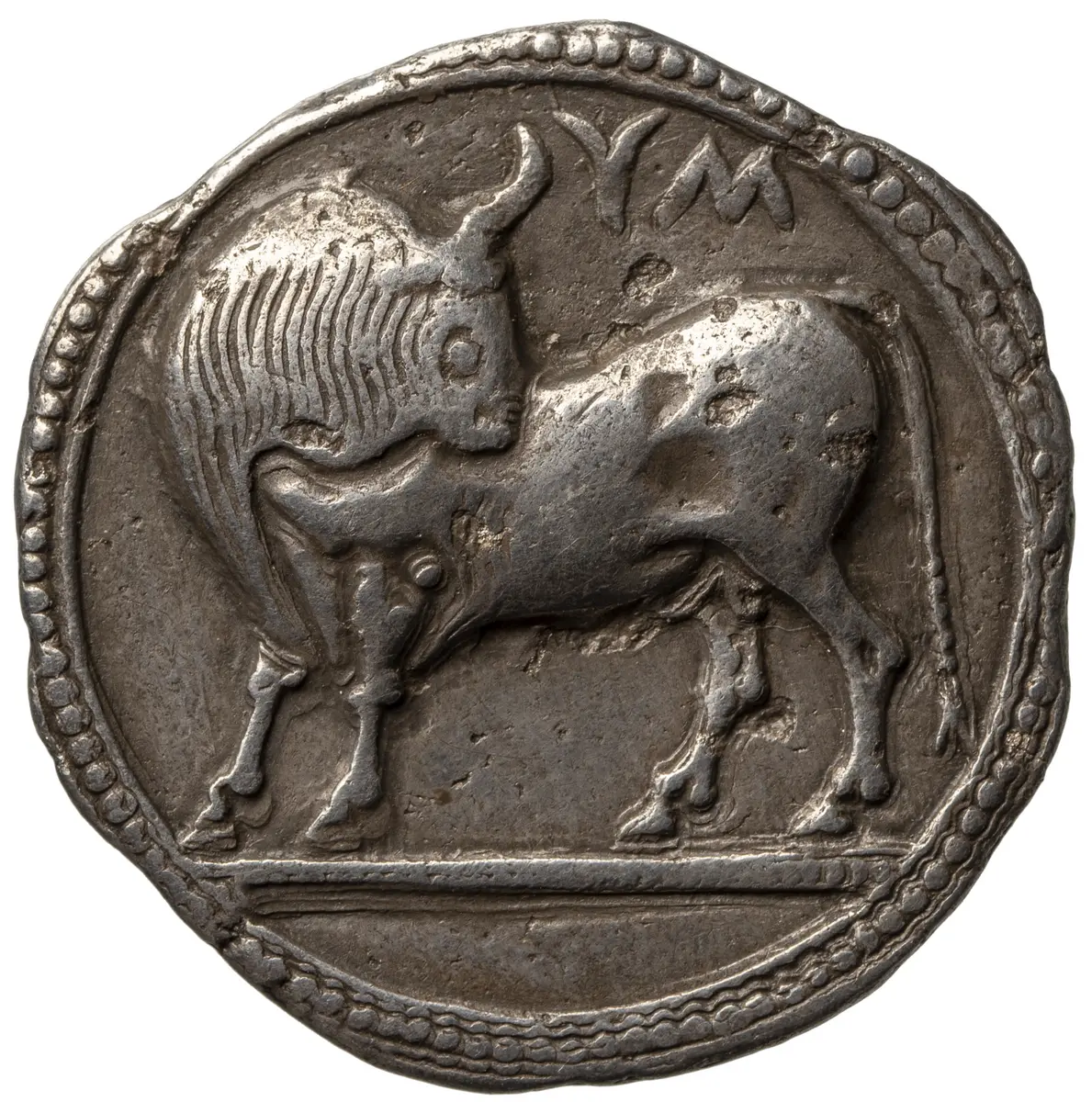 Sybaris