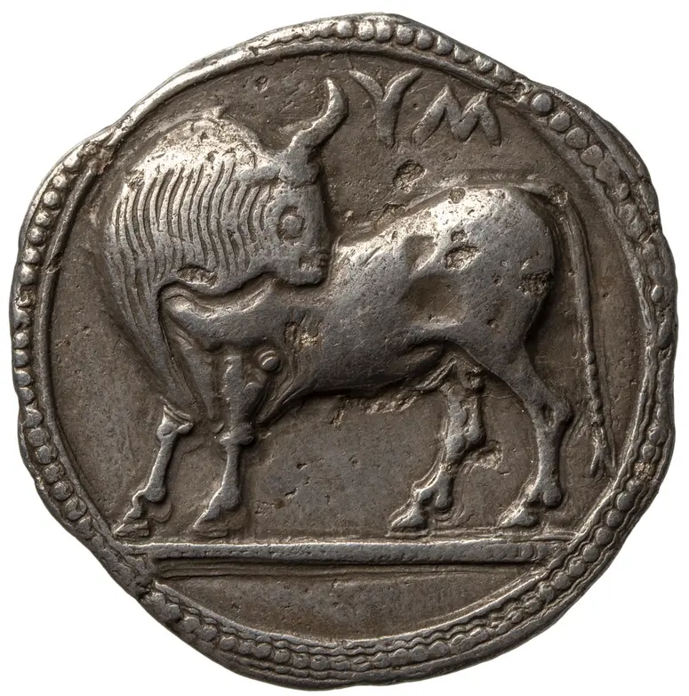 Münze