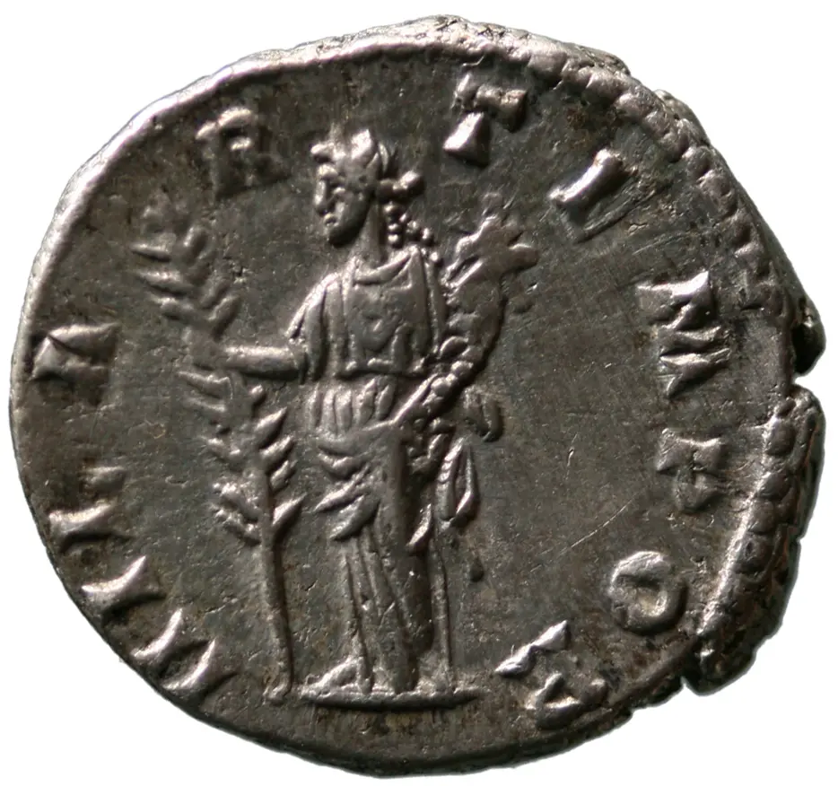 Didia Clara