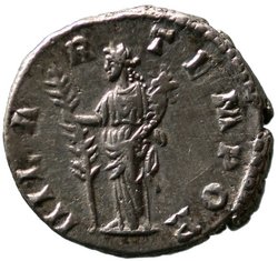 Didia Clara