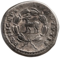 Titus für Domitianus
