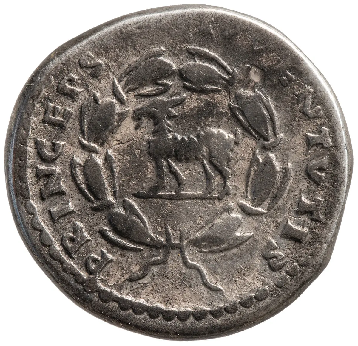 Titus für Domitianus