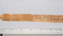 Papyrus, hieratisch