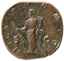 Didia Clara