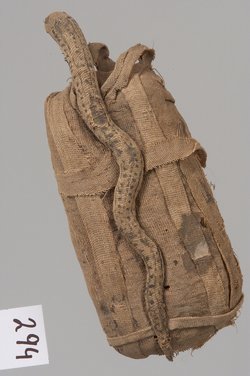 Stoffschlange auf Polster mit Schlangenmumie