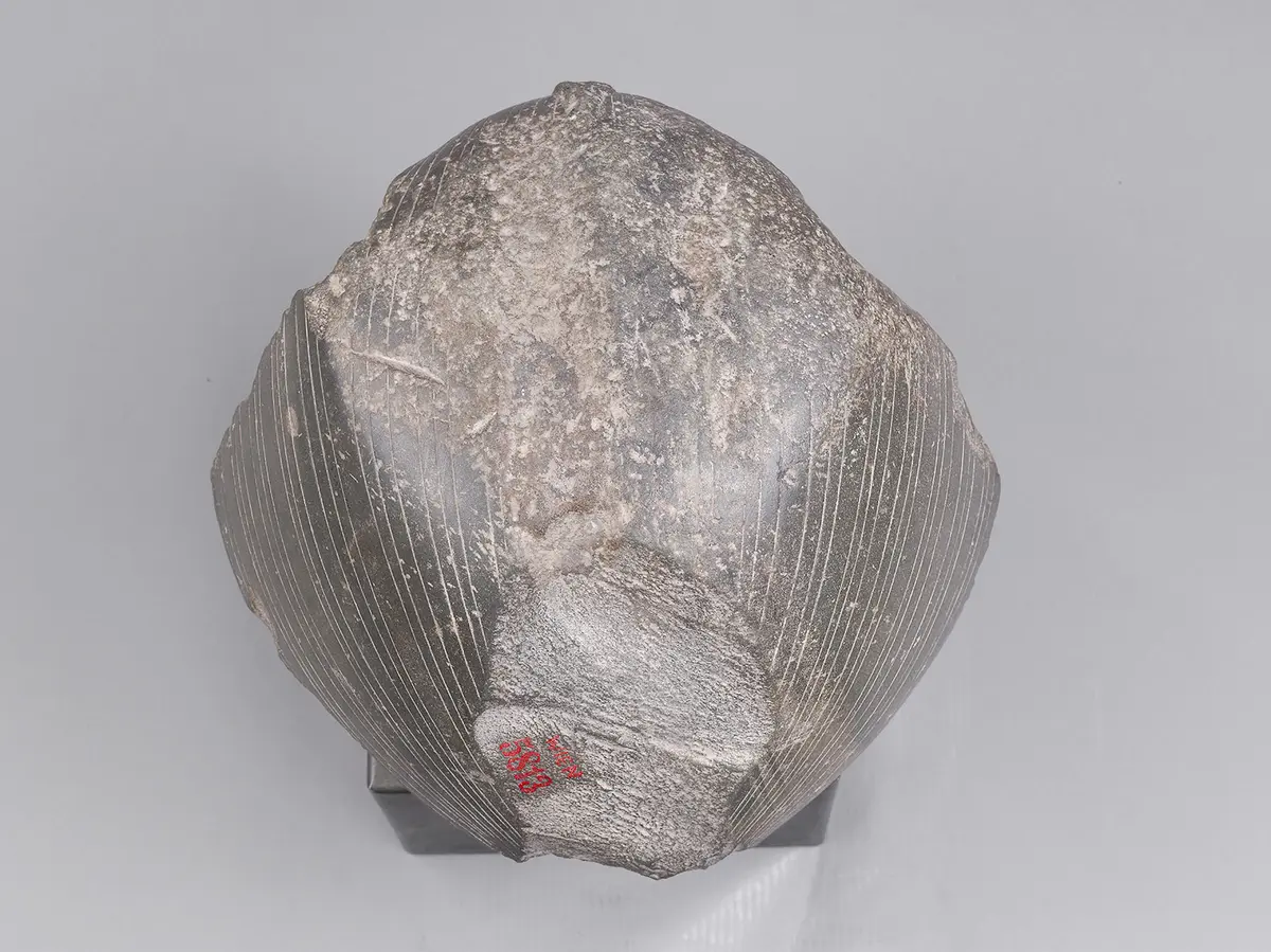 Head from a sphinx of Senwosret III 