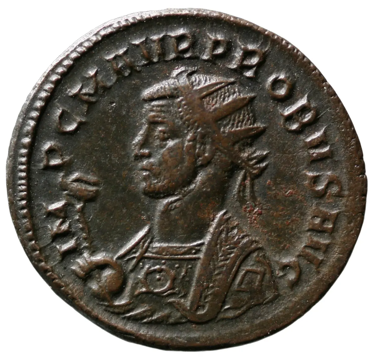 Probus