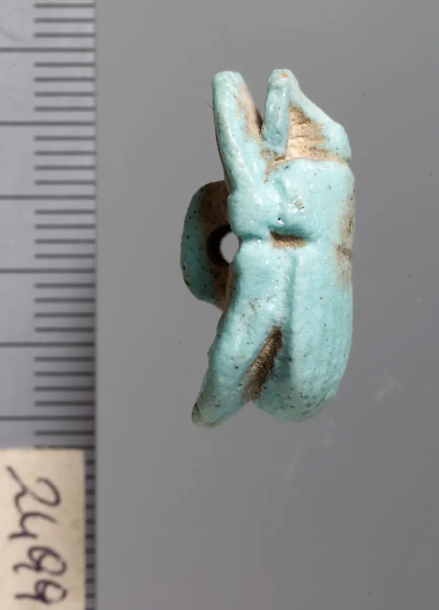 Mumienskarabäus