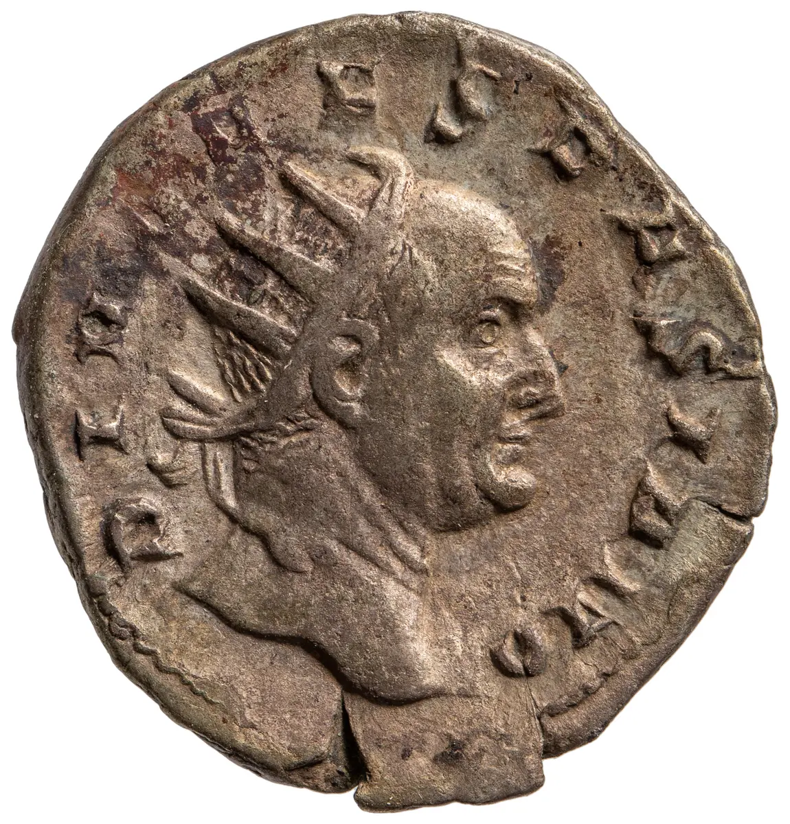 Divus Vespasianus