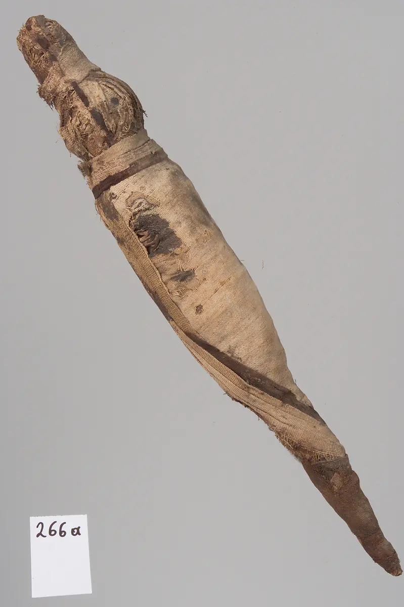 Kleine Krokodilsmumie