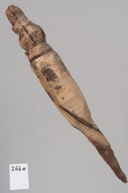 Kleine Krokodilsmumie