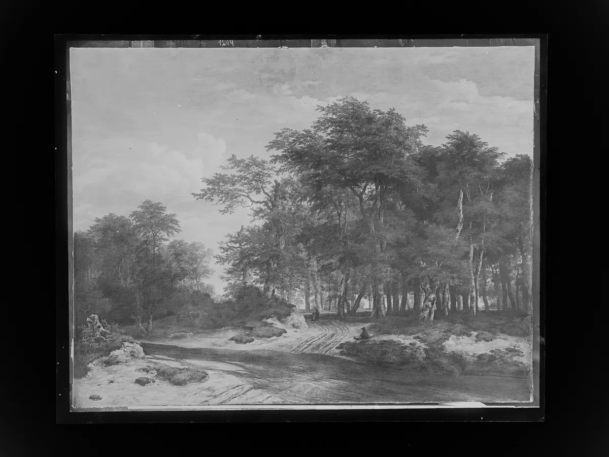 Der große Wald