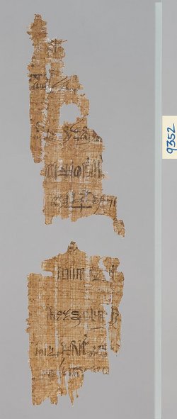 Zwei Fragmente eines hieratischen Papyrus