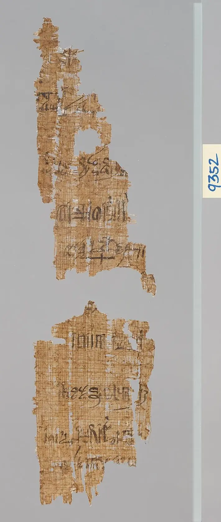 Zwei Fragmente eines hieratischen Papyrus