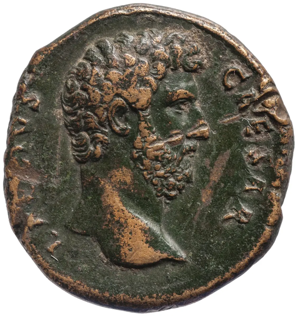 Lucius Aelius