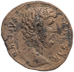 Lucius Aelius