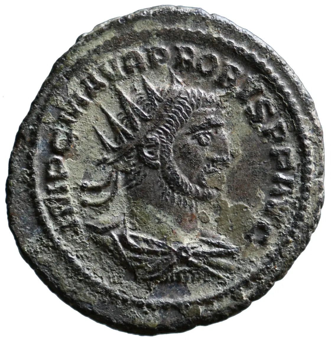 Probus