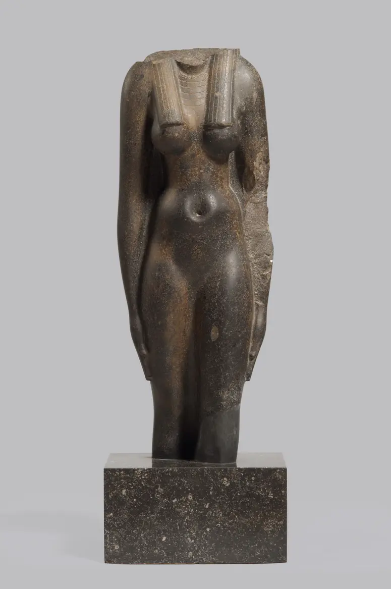Female torso 