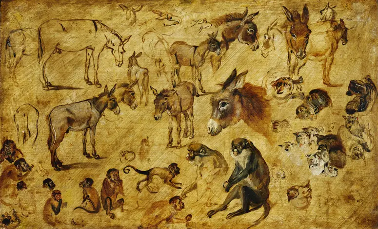 Tierstudie (Esel, Katzen, Affen)