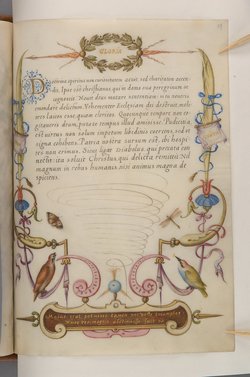 Schriftmusterbuch; 127 Blatt Pergament