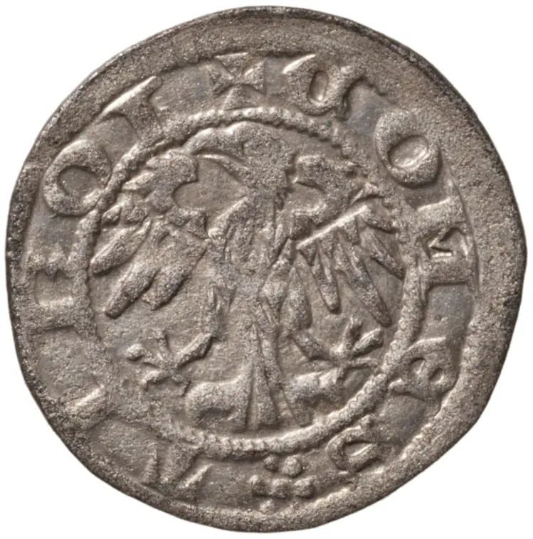 Grafen von Tirol: Sigismund (1439–1496)