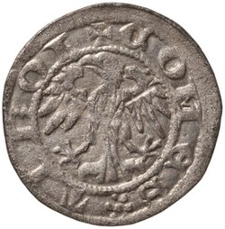 Grafen von Tirol: Sigismund (1439–1496)