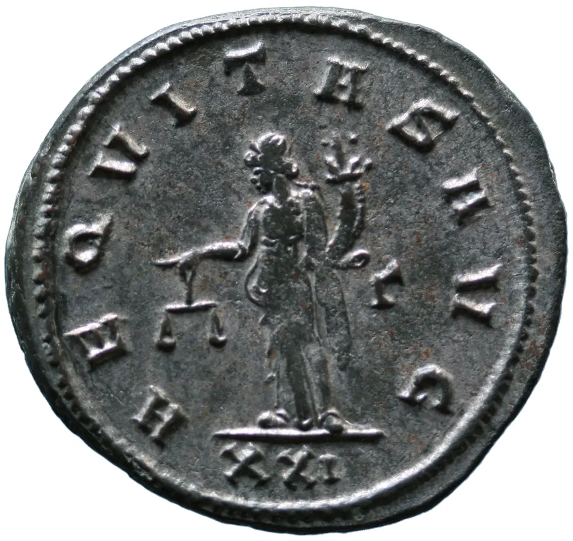 Probus